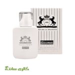 ادوپرفیوم زنانه و مردانه گالووی GALLOWAY برندینی BRANDINI حجم 33 میل