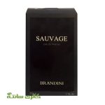 ادوپرفیوم مردانه ساواج SAUVAGE برندینی BRANDINI حجم 33 میل