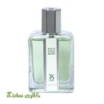 ادوپرفیوم مردانه پوران هوم pourun homme برندینی BRANDINI حجم 33